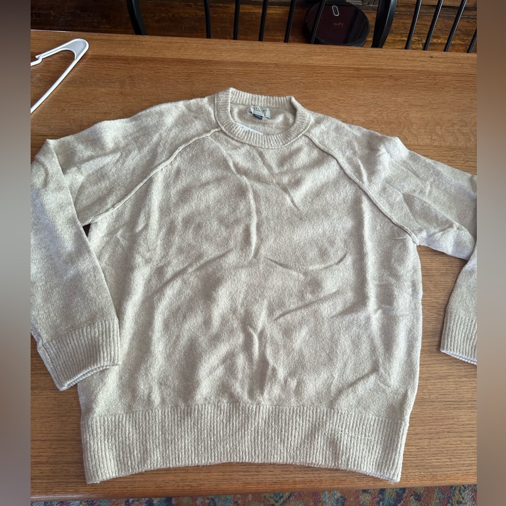 American Eagle NWT pullover raglan sleeve sweater sz Large 24" Ptp